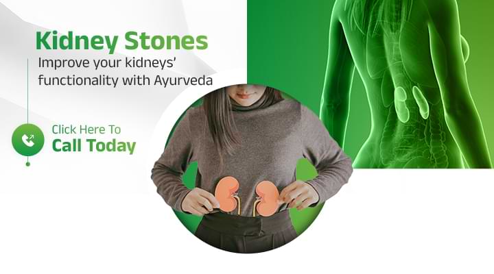 Improve Your Kidney Stones with Ayurveda